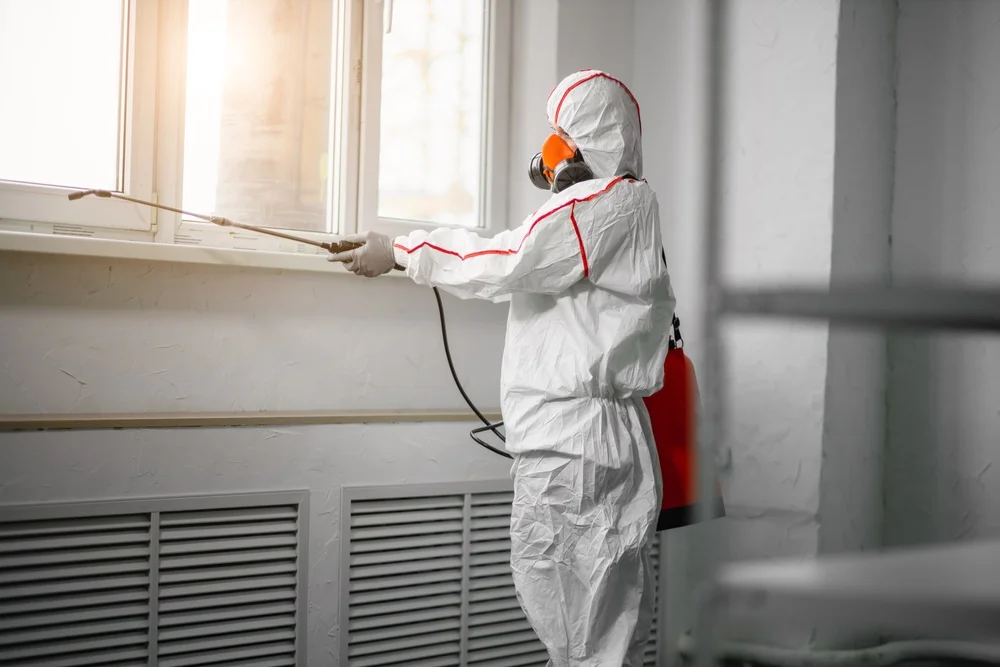 Professional mold remediation services in Jefferson, OH